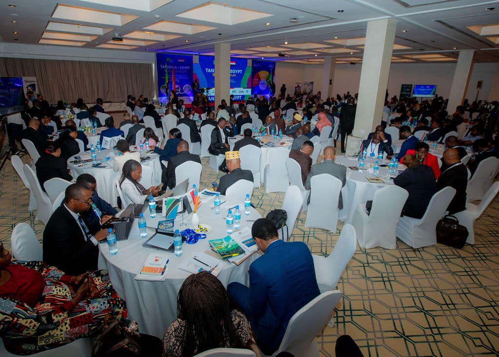 Wide view of delegates seated across the conference hall during the forum