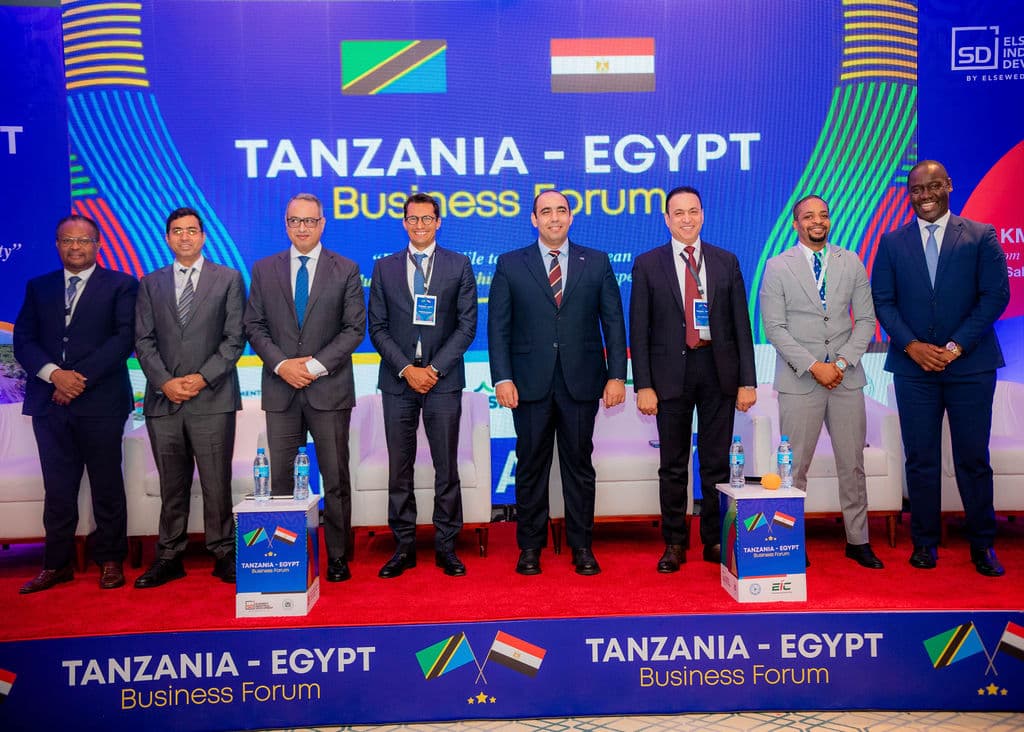Eight-person panel lineup on stage in front of the full Tanzania-Egypt Business Forum banner